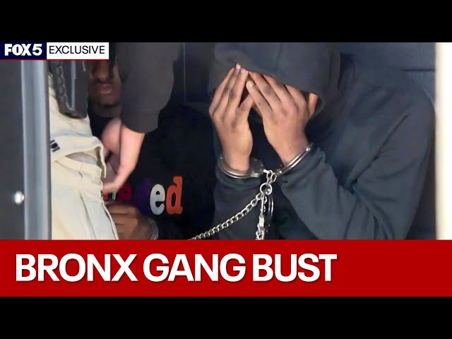 Inside NYPD's Bronx gang takedown