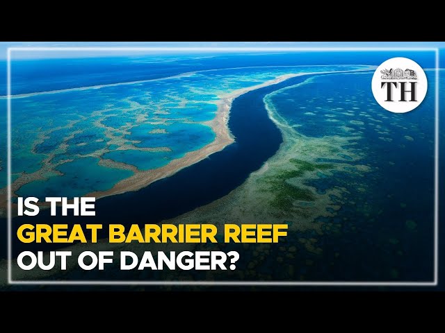 Is Australia's Great Barrier Reef out of danger? | The Hindu
