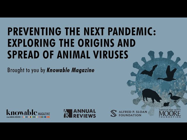 Preventing the Next Pandemic: Exploring the Origins and Spread of Animal Viruses
