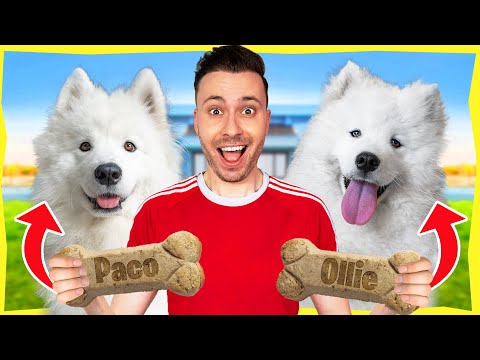 Video's met Paco de Hond!