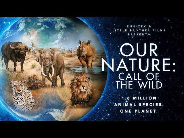 Our Nature (2019) Full Nature Documentary Free - John J. Malone, Rainer Schöne