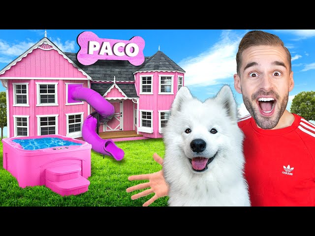 Ik Bouw Een Huis Voor Paco De Hond In 1 Kleur! *Verrassing*