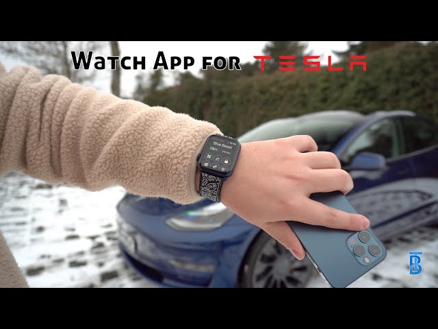 Tesla mit der Apple Watch steuern! 🚗