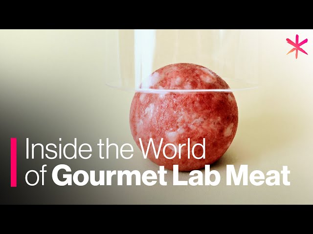 Inside the World of Gourmet Lab Meat | Future of Food