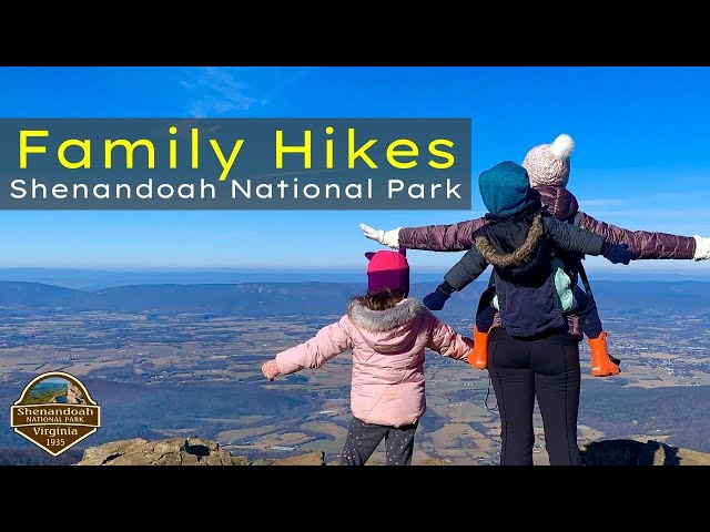 Shenandoah National Park - Four Family Hikes Not To Miss!
