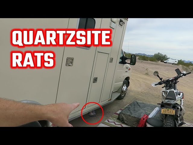 How I Keep Quartzsite Rats Away From My Camper | BougeRV Power Station