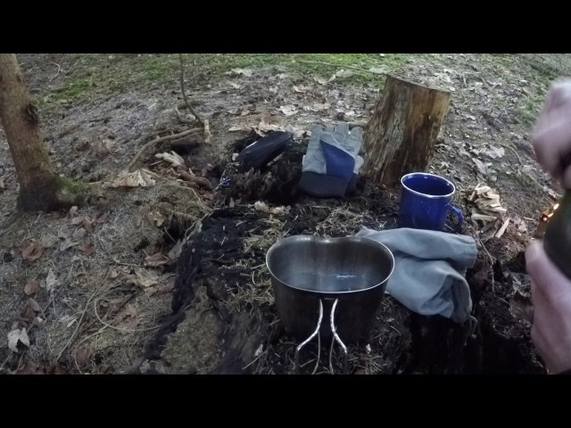Test Bushbox und Kaffee im Wald