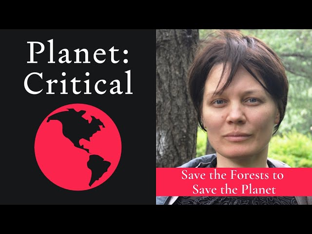 Save The Forests To Save The Planet | Anastassia Makarieva