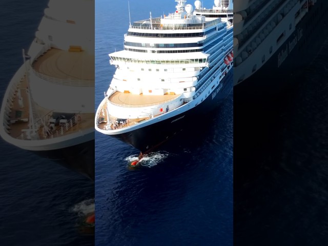 Choose cruising and explore the world! 🛳️🌎 #cruiseship