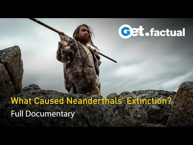 A Super Volcano Killed the Neanderthals | Full Science Documentary - Part 2