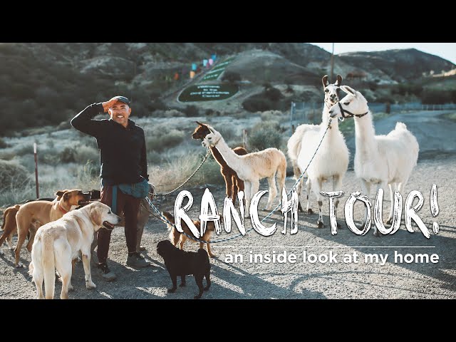 Cesar Millan's Animal Paradise in LA | Ranch Tour!