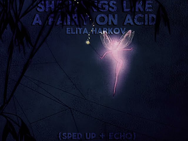 Elita - She Bangs Like A Fairy On Acid (Sped Up + Echo)