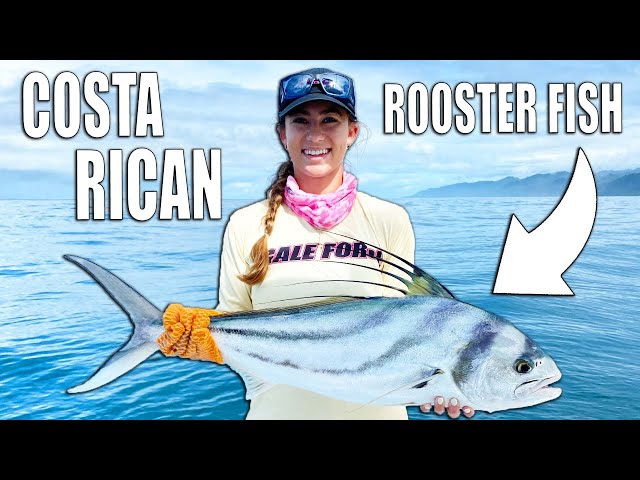Insane Inshore Fishing in Costa Rica for Rooster Fish!