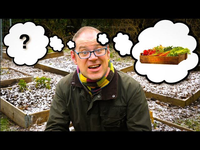 How to Choose the BEST Vegetables to Grow in Your Garden 🏆🏆🏆
