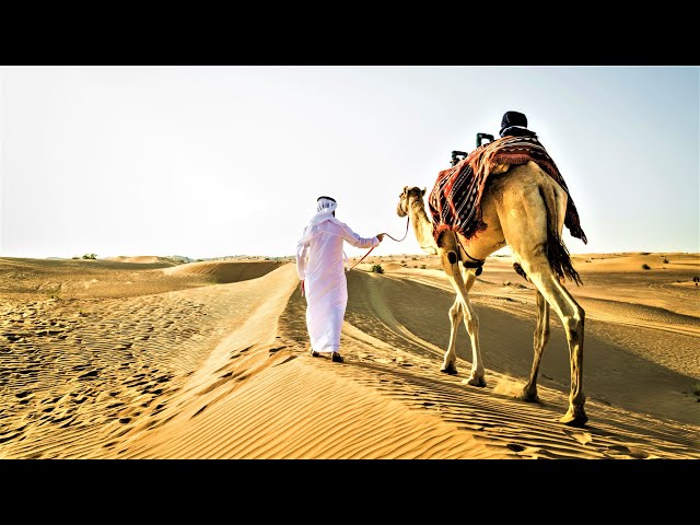 Arabian Music [4K]  - Meditation in Desert (Part 4), Arabian Violin & Arabian Nights