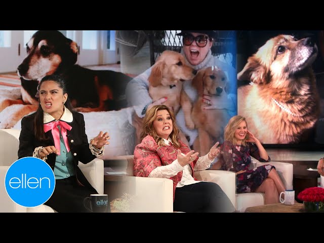 Celebs Talking About Their Dogs for 11 Minutes Straight