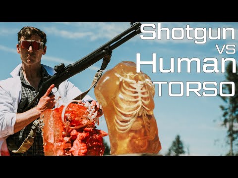 How Deadly are Shotguns?