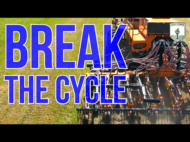 Break the "farming year to year" cycle - An Alabama Farm Story
