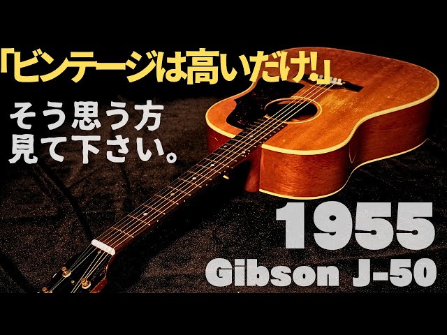 鳴るギターの定義とは？超レアなイレギュラー仕様【1955年製 Gibson J-50】（完全予約制 名古屋アコギ専門店 オットリーヤギター）