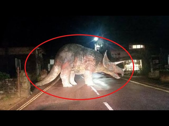 10 DINOSAURS CAUGHT ON TAPE  REAL OR FAKE