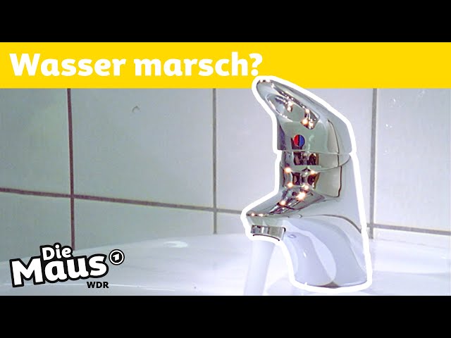 Wie funktioniert ein Wasserhahn? | DieMaus | WDR