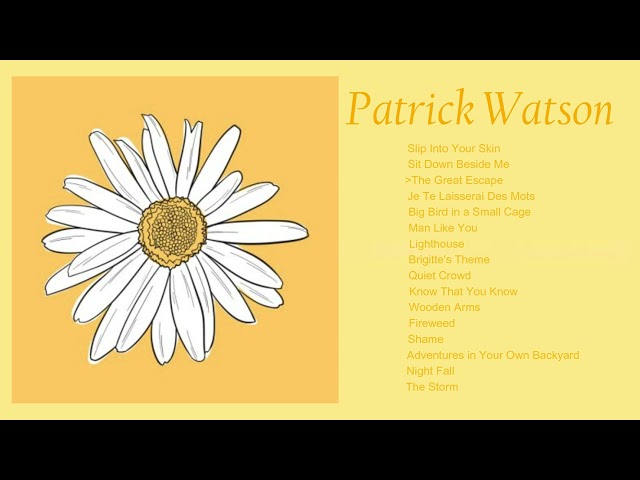 a Patrick Watson playlist because they're underrated