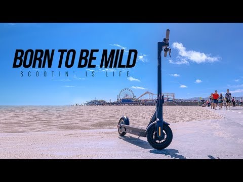 Born To Be Mild — E-Scooter Anthem