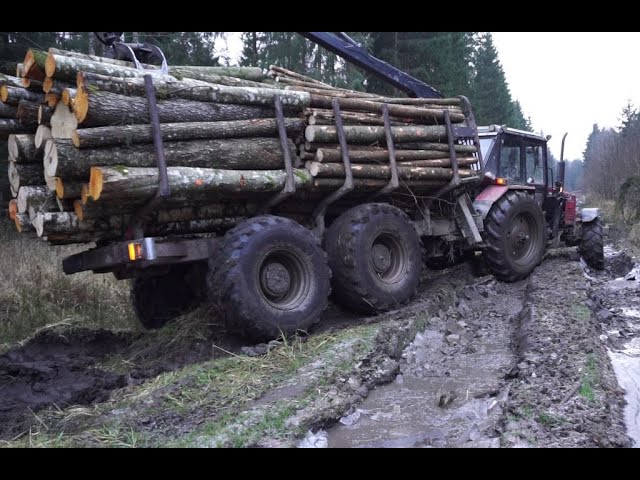 Belarus Mtz 1221.2 with big homemade trailer logging in winter forest, slippery conditions