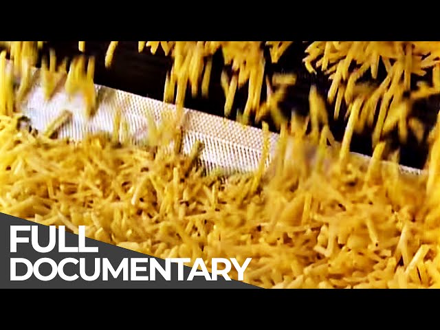 ► HOW IT WORKS | Oven Chips, Swatch Watch, House, Jeans | Episode 5 | Free Documentary