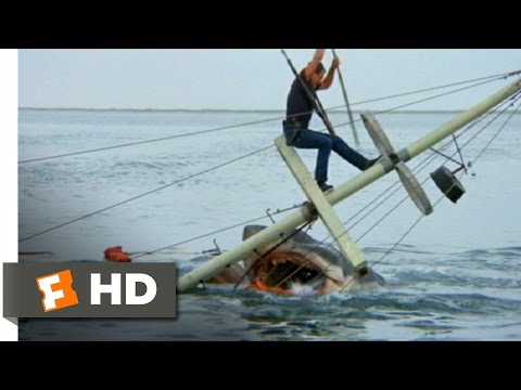 Jaws (1975) - Brody Kills the Beast Scene (10/10) | Movieclips