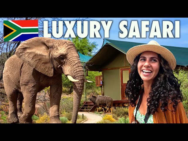 South Africa's LUXURY Glamping Safari 🇿🇦 How Good Is It?