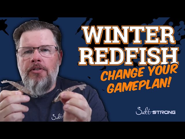 You've Got To Change Your Winter Redfish Gameplan!