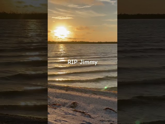 Rip Jimmy Buffet