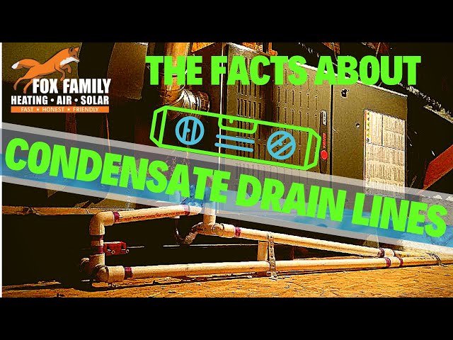 The Facts About AC Condensate Drain Lines