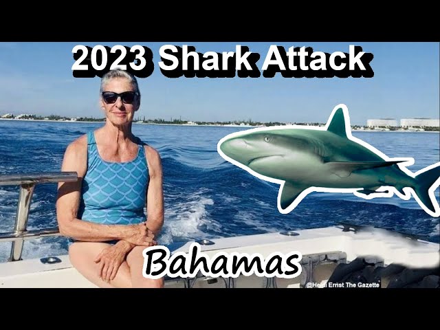 Woman Loses Foot in Shark Attack Bahamas 2023 Heidi Ernst
