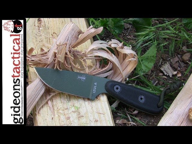 ESEE Izula Field Test: One Mean Ant