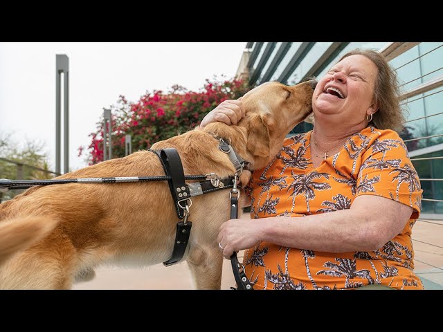 “Lost and Found” | Lynn Puckett and guide dog AJ