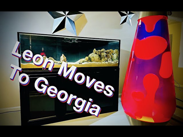 Leon Moves To Georgia