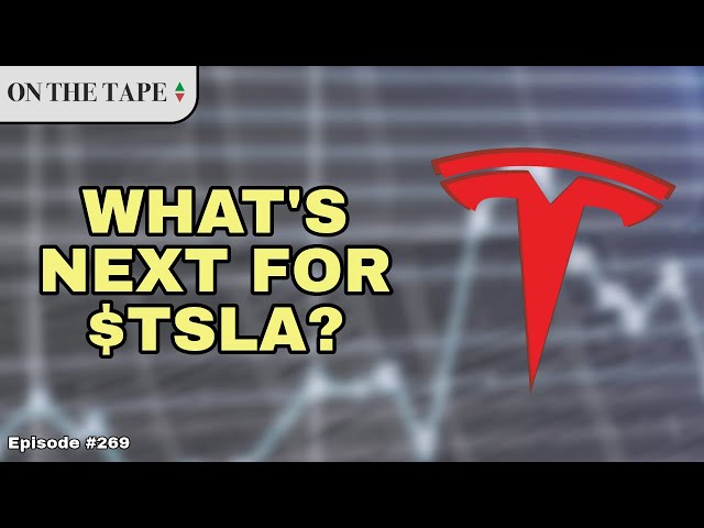 Top Tesla Bull Expects Short-Term Pain Before Long-Term Gains  |  Stock Investing/Trading Podcast