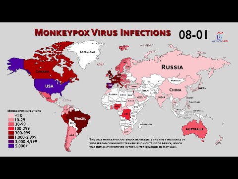 Pandemic Report