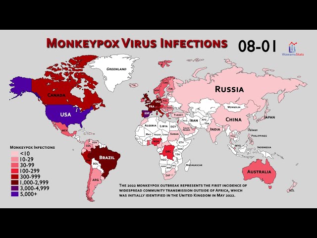 World Map Timelapse of the Monkeypox Virus (May to August)