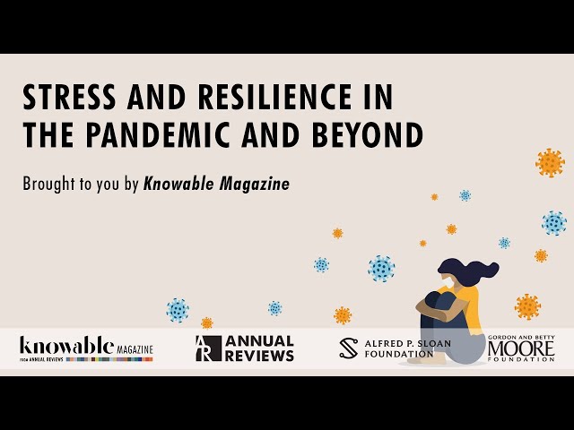 Stress and Resilience in the Pandemic and Beyond