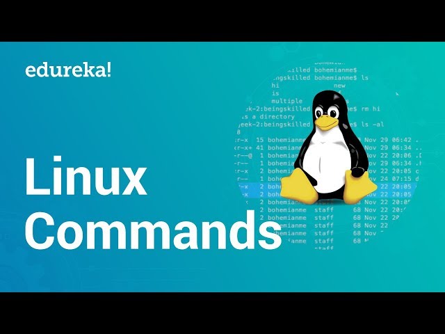Linux Commands | Command Line Basics | Linux Certification Training | Edureka