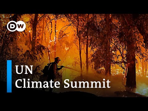 Climate Change & Climate Action News