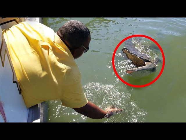 6 Crocodile Encounters That Will Terrify You