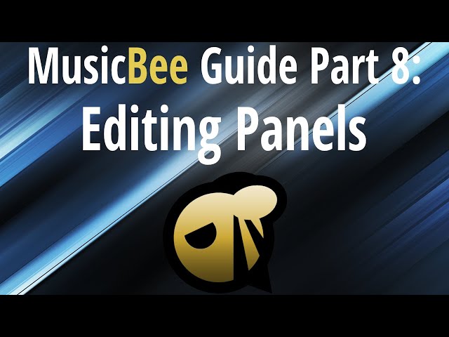 MusicBee Guide Part 8: Editing Panels