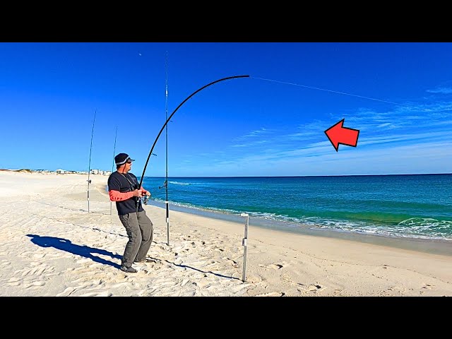 Surf Fishing for Winter POMPANO when THIS HAPPENED!