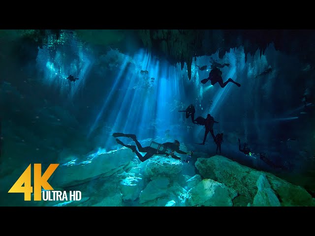 4K Cenotes Dive Relaxation Video - Mexican Underwater Caves - Incredible Underwater World - 3 HOUR