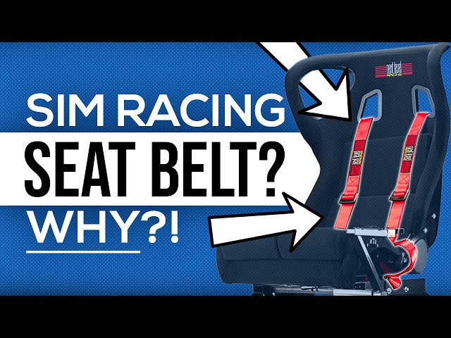 Why do Sim Racers use Seat Belts?