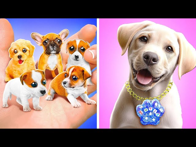 I've adopted a Dog | Best Pet Gadgets *Funny Dog Video*
